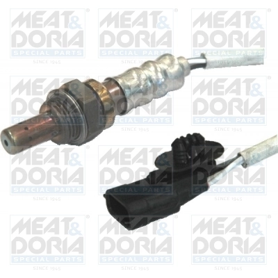 Oxygen Sensor